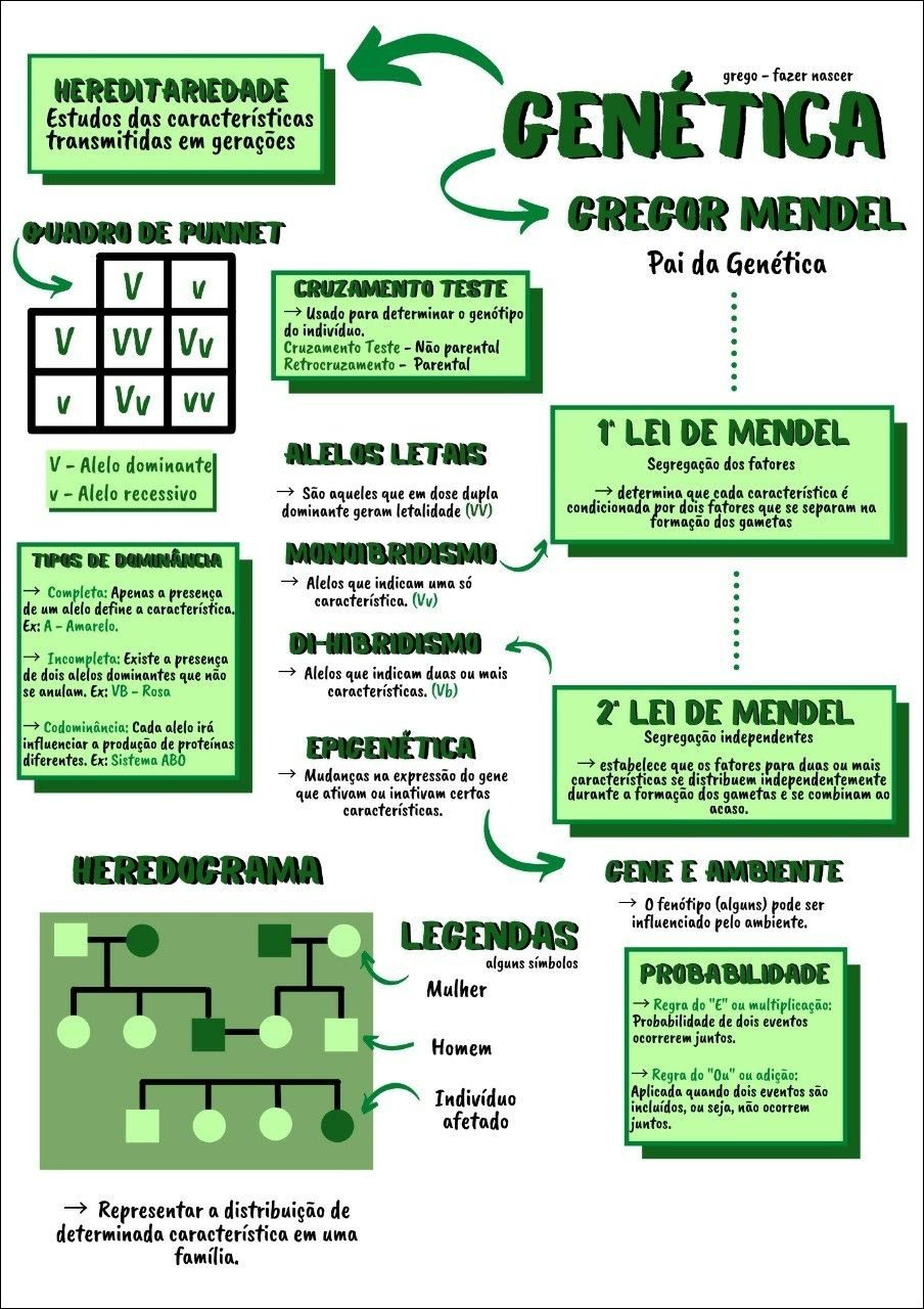 Conceitos de Genética